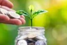 Top Mid Cap Mutual Funds