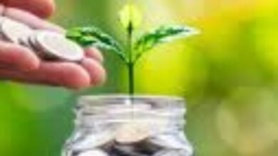 Top Mid Cap Mutual Funds