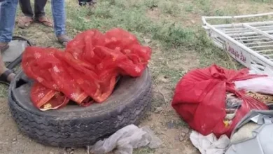 मातम में बदली शादी की खुशी