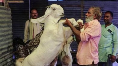गाय-ऊंट समेत इन जानवरों की कुर्बानी पर लगा रोक… | Eid al-Adha 2025