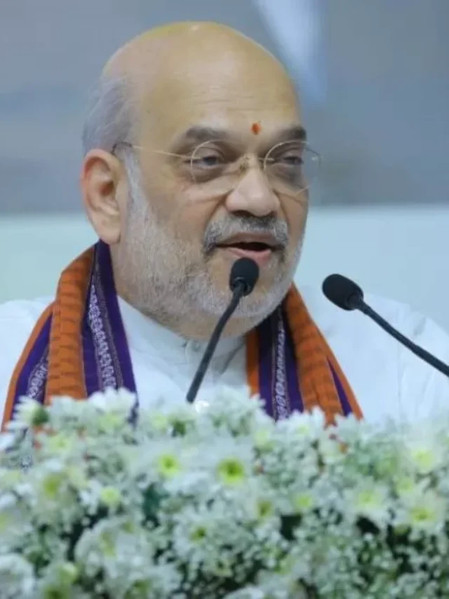 अमित शाह ने बताया अपना रिटायरमेंट प्लान, प्राकृतिक खेती के लिए समर्पित करने की योजना बना रहे हैं.