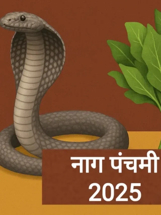 नाग पंचमी के दिन इन चीजों का दान करना होता है बेहद शुभ, कई कष्टों से मिलती है मुक्ति