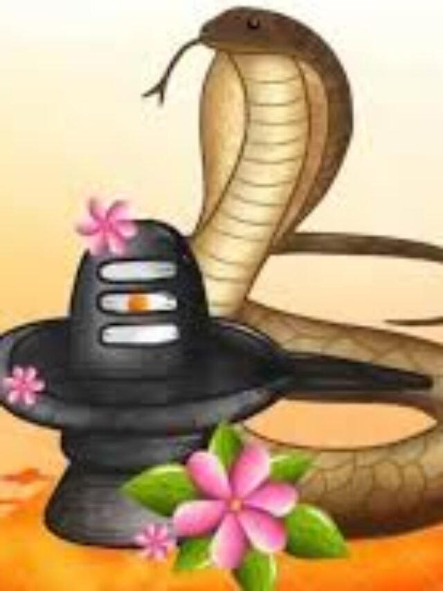 नाग पंचमी के दिन राशि अनुसार अवश्य करें ये उपाय, कालसर्प समेत कई दोष हो जाएंगे दूर