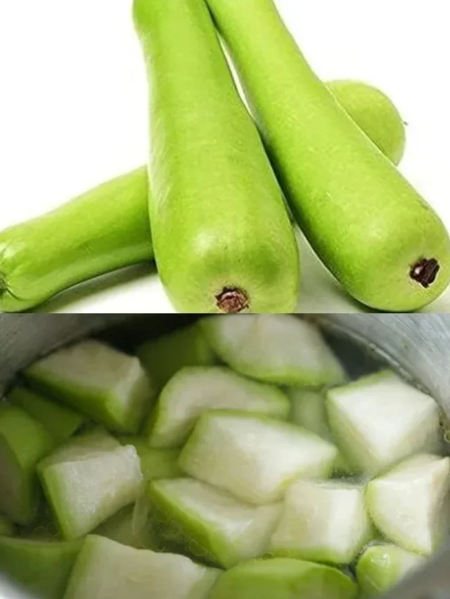 बच्चों को लौकी खिलाने का सबसे आसान और मजेदार तरीका, एक बार भी मुंह नहीं बनाएंगे, इस सीक्रेट रेसिपी को ट्राई करें