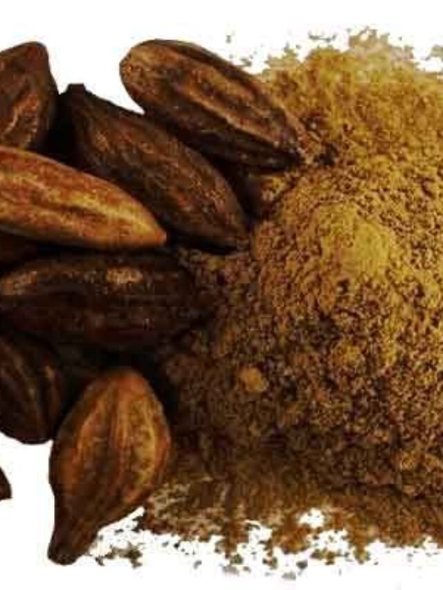 कब्ज हो या खांसी-जुकाम, हरड़ खाने से शरीर को मिलते है बड़े फायदे, जानिए कैसे करना चाहिए सेवन…