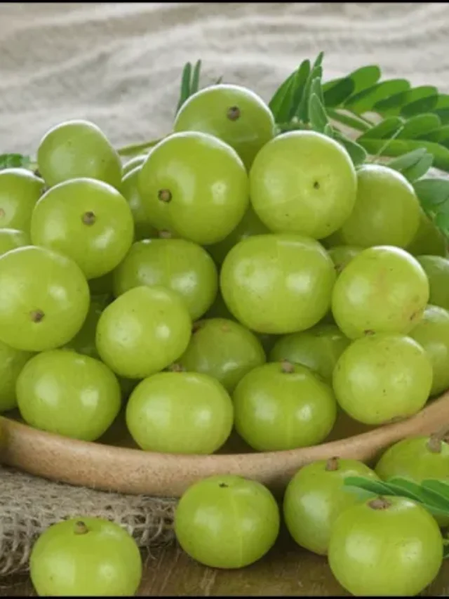 एक कच्चा आंवला खाएंगे तो शरीर को मिलेंगे ये फायदे