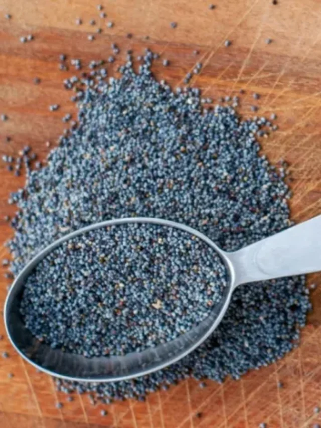 चिया सीड्स है गुणों की खान लेकिन इन लोगों को नहीं करना चाहिए सेवन, वरना फायदे की जगह होगा नुकसान