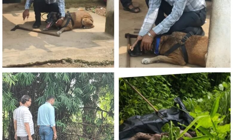 खरसिया हत्याकांड का खौफनाक खुलासा फोरेंसिक टीम की जांच में दहला देने वाला खुलासा, जमीन में दफन मिले पूरे परिवार के शव
